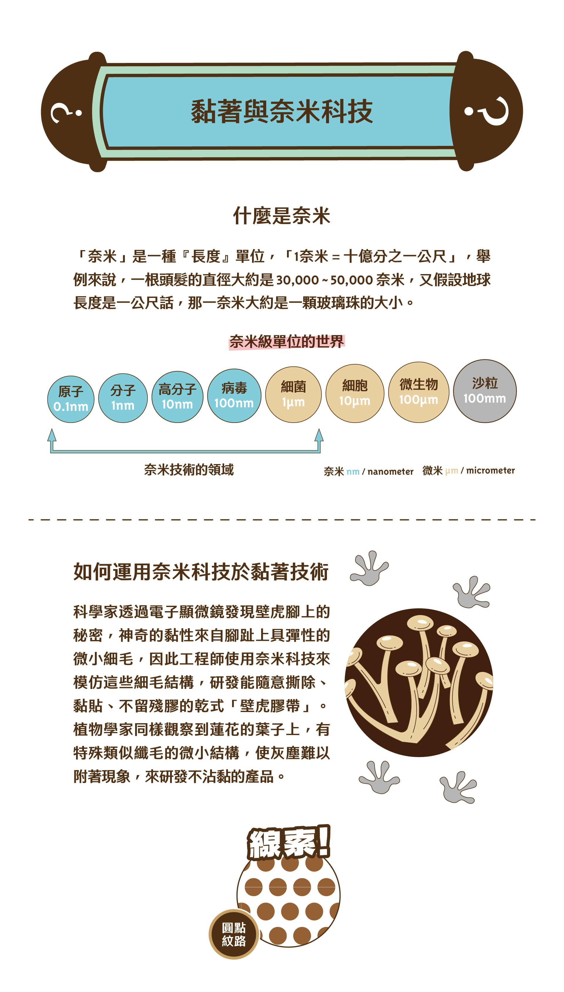 化學反應機制：化學反應的基本原理和反應過程，包括反應物、產物、催化劑的作用機制和反應條件的影響。