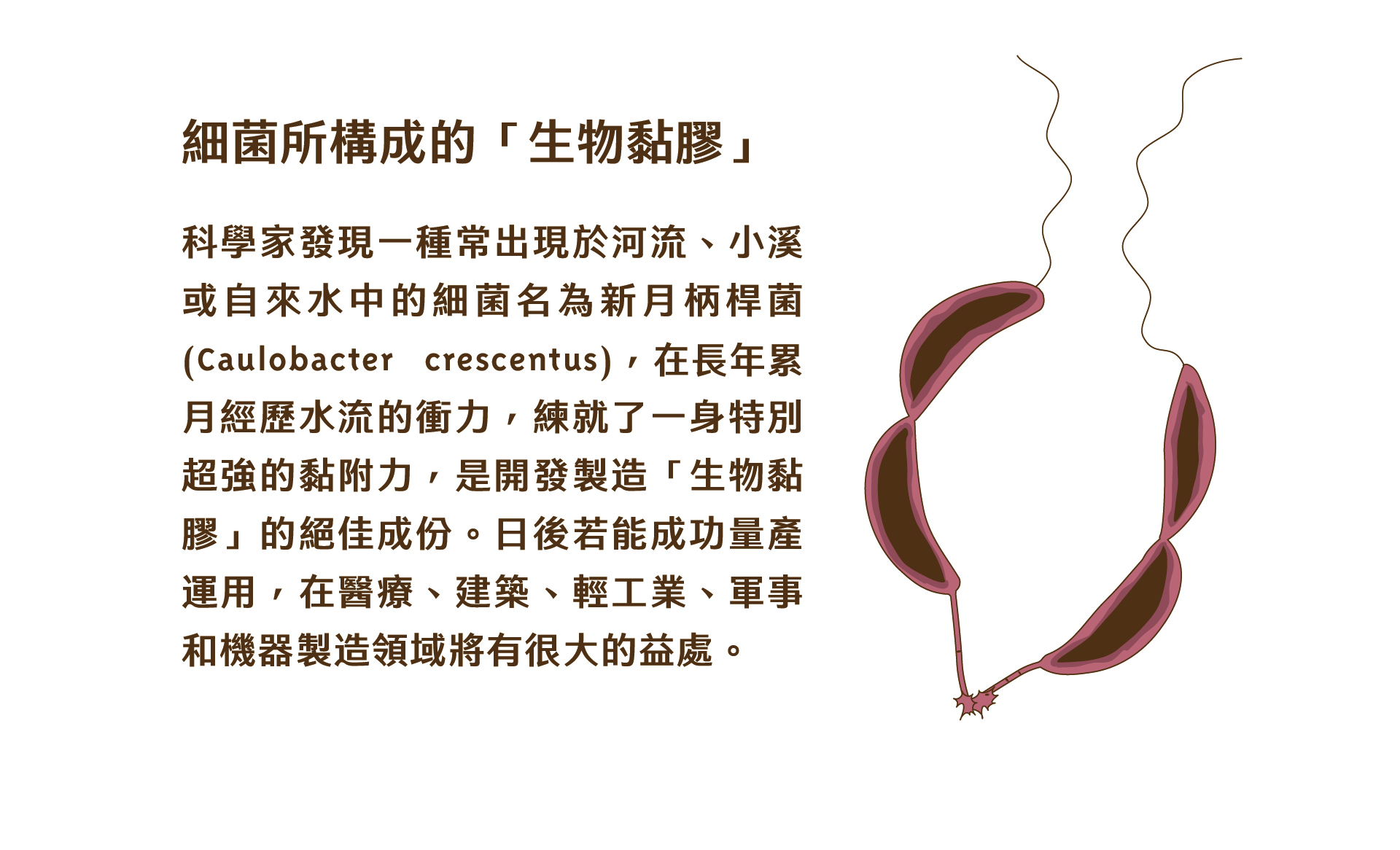 科技創新應用：未來科技在各個領域的創新應用，展示科技進步對人類生活和社會發展的潛在影響和改變。